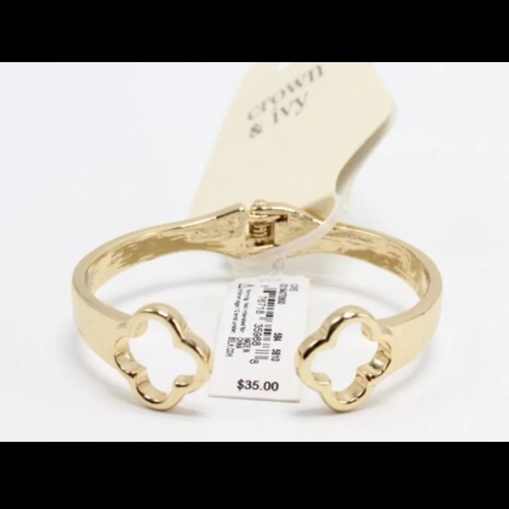 🌹Crown & Ivy Hinged Bangle